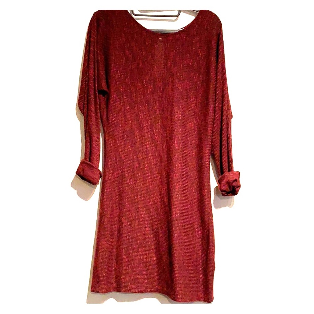 Sheer Maroon Autumn Dress